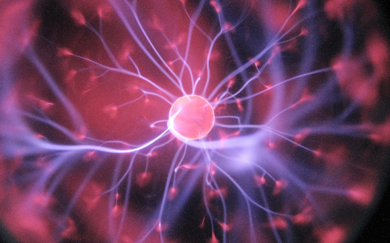 中科院生态环境研究中心 环境监测网络